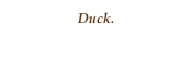 Duck.