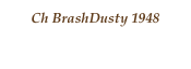 Ch BrashDusty 1948